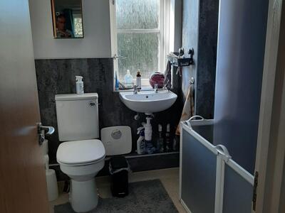 Picture 25